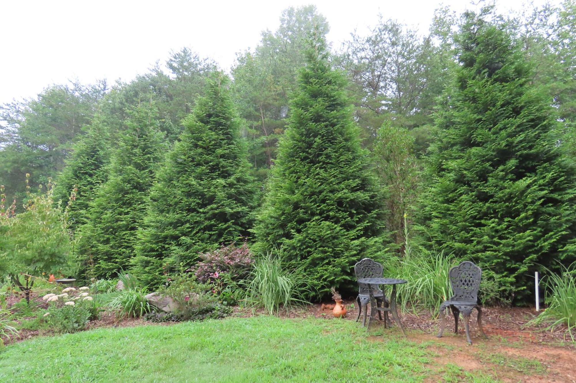 Scenic Fox Ridge Cabin On 4 Acres With Hot Tub! Whittier Экстерьер фото